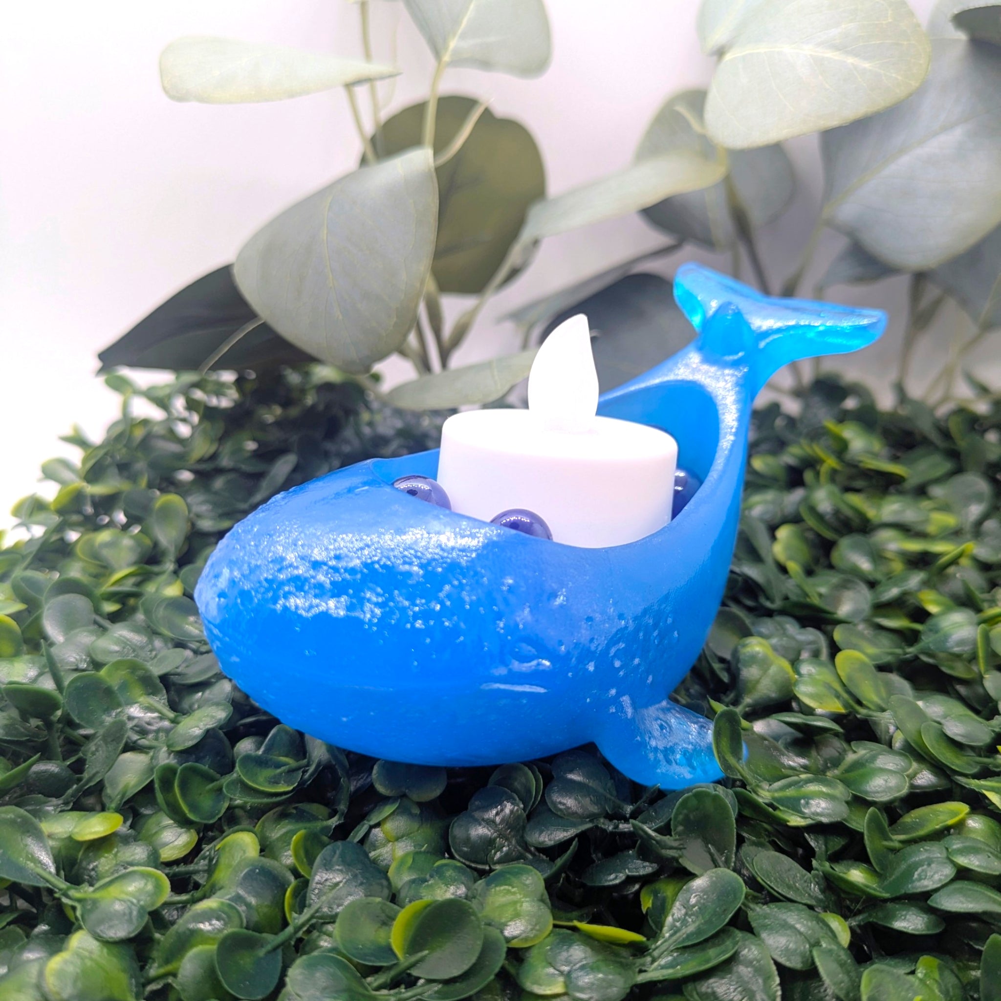Whale