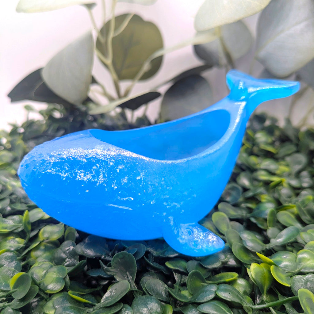 Whale